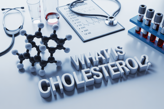What Is Cholesterol?