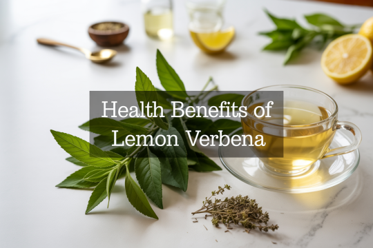 Health Benefits of Lemon Verbena