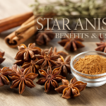 Star Anise: Benefits, Uses, and Possible Risks