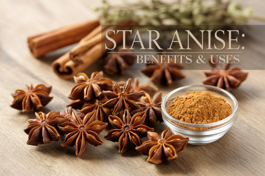 Star Anise: Benefits, Uses, and Possible Risks