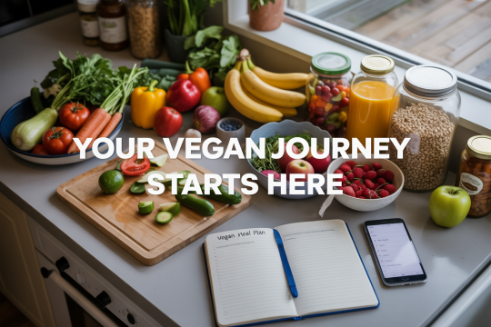 Guide to Going Vegan for the First Time: Tips for Beginners